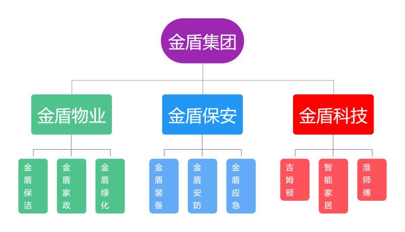 金盾集团构架
